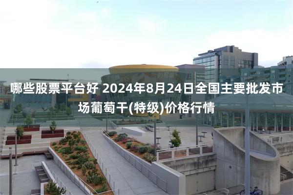 哪些股票平台好 2024年8月24日全国主要批发市场葡萄干(特级)价格行情