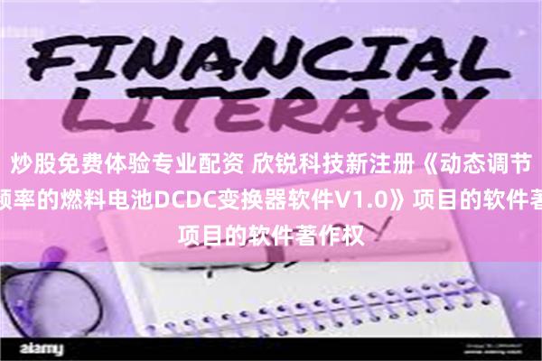 炒股免费体验专业配资 欣锐科技新注册《动态调节开关频率的燃料电池DCDC变换器软件V1.0》项目的软件著作权