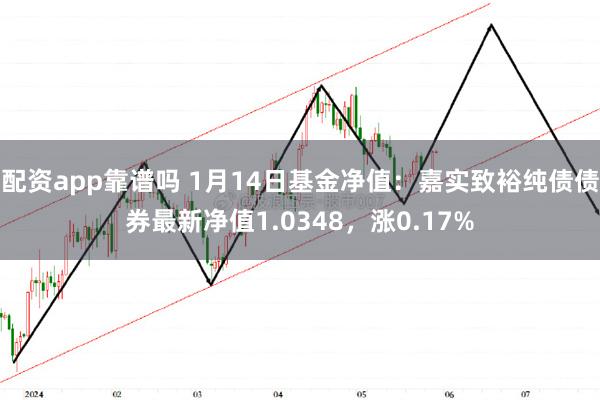 配资app靠谱吗 1月14日基金净值：嘉实致裕纯债债券最新净值1.0348，涨0.17%