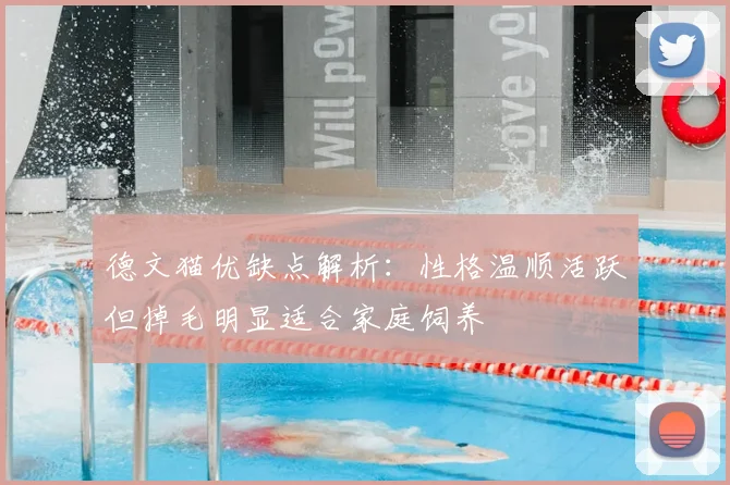 德文猫优缺点解析：性格温顺活跃但掉毛明显适合家庭饲养