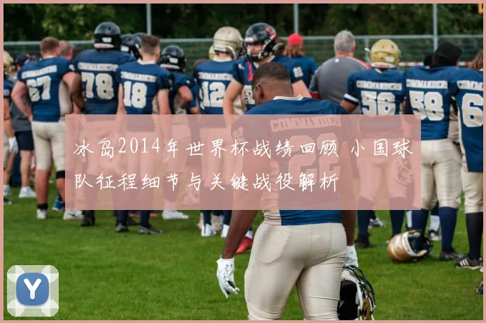冰岛2014年世界杯战绩回顾 小国球队征程细节与关键战役解析