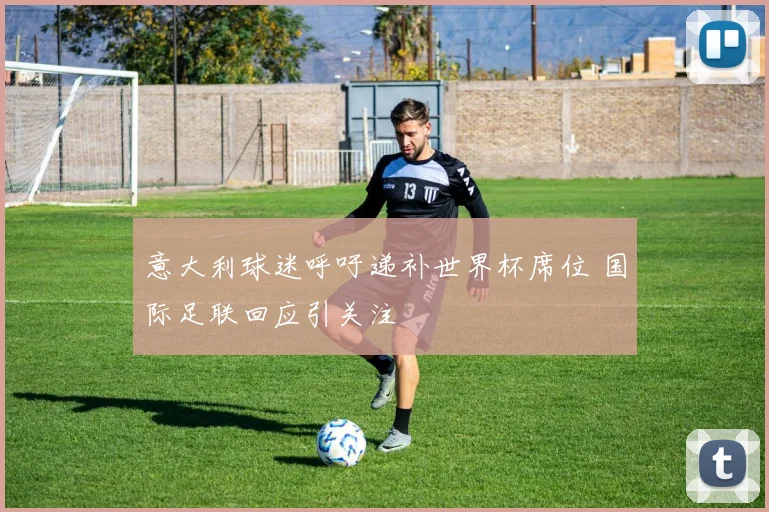 意大利球迷呼吁递补世界杯席位 国际足联回应引关注