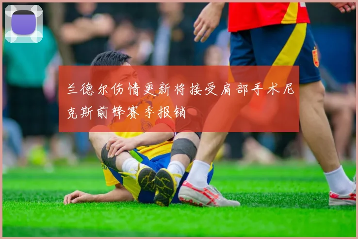 兰德尔伤情更新将接受肩部手术尼克斯前锋赛季报销