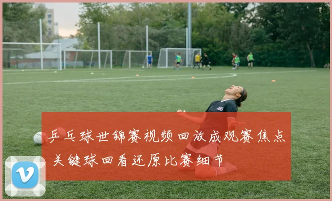 乒乓球世锦赛视频回放成观赛焦点 关键球回看还原比赛细节