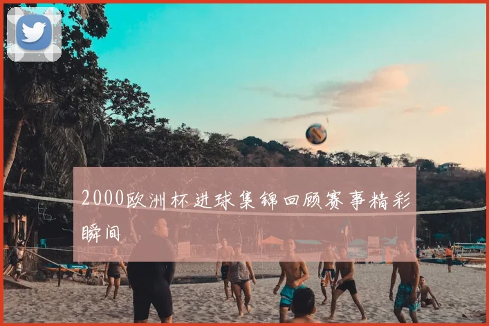 2000欧洲杯进球集锦回顾赛事精彩瞬间