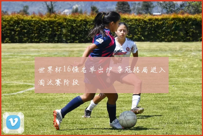 世界杯16强名单出炉 争冠格局进入淘汰赛阶段